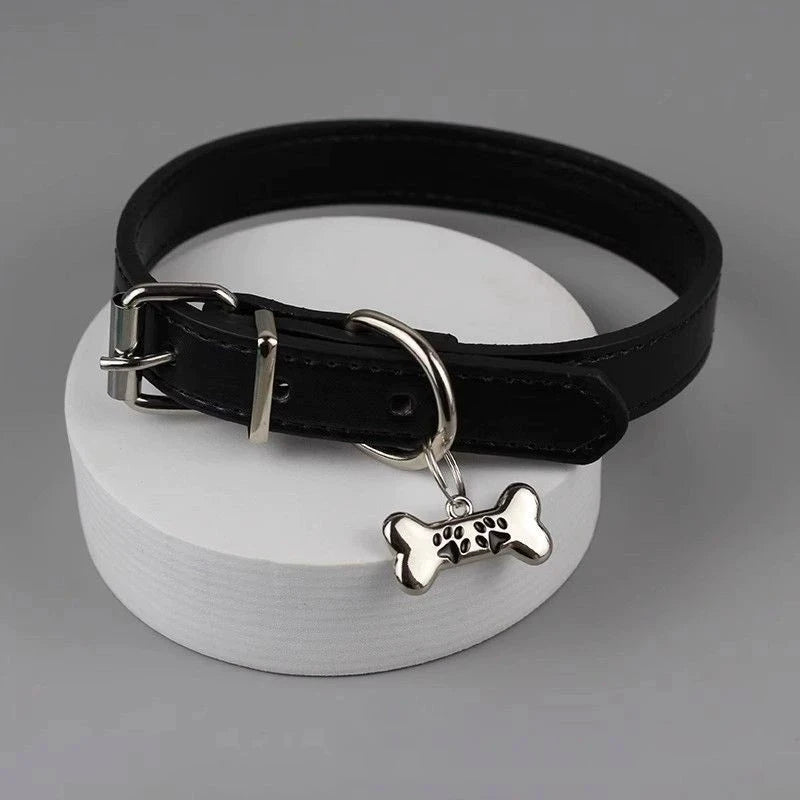 Punk Choker Dog Collar (White, Black, Pink)