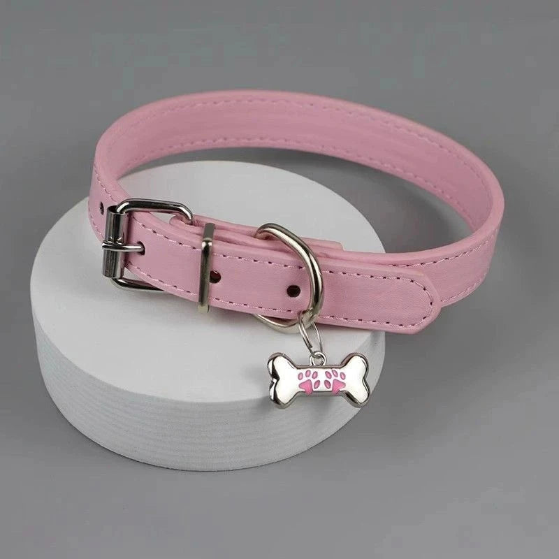 Punk Choker Dog Collar (White, Black, Pink)
